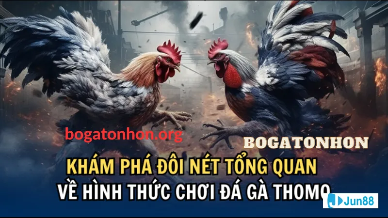 Ý nghĩa của Cấp độ C6