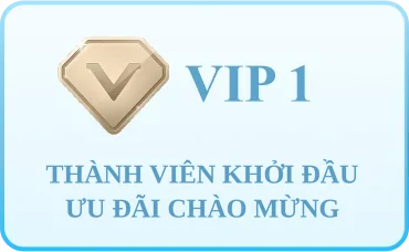 Thẻ cấp VIP 1