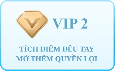 Thẻ cấp VIP 2